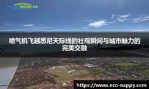 喷气机飞越悉尼天际线的壮观瞬间与城市魅力的完美交融